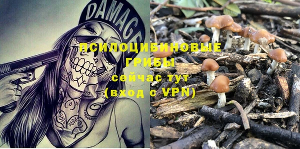 трава Абдулино