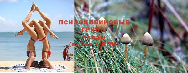 трава Абдулино