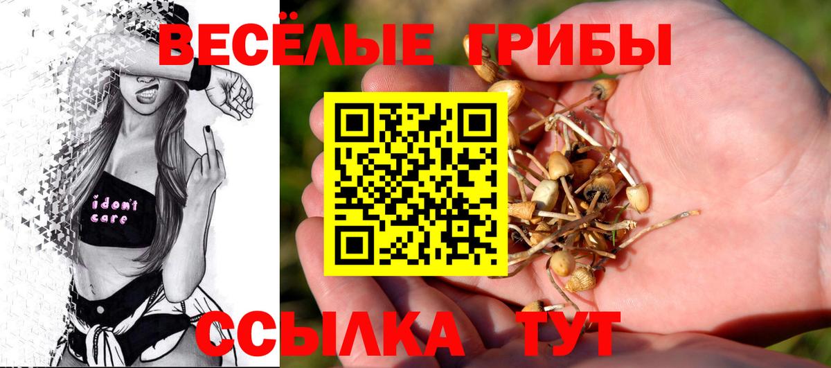 Псилоцибиновые грибы мухоморы  Вход с VPN  Лангепас  Псилоцибиновые грибы Psilocybe 